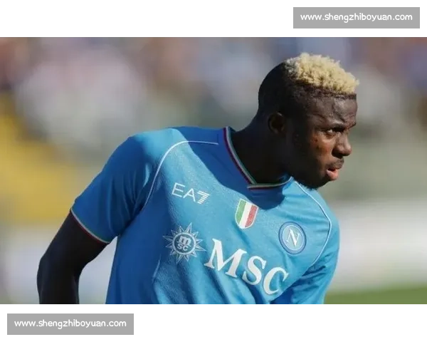 迪马济奥:尤文 8500 万欧强攻奥斯梅恩 免签戴维后再追顶级锋霸 迪马济奥:尤文 8500 万欧强攻奥斯梅恩 免签戴维后再追顶级锋霸