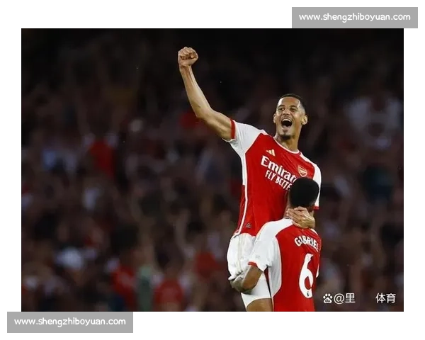萨利巴伤缺一月:阿森纳防线迎严峻考验 萨利巴伤缺一月:阿森纳防线迎严峻考验