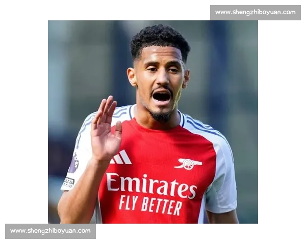 萨利巴伤缺一月:阿森纳防线迎严峻考验 萨利巴伤缺一月:阿森纳防线迎严峻考验